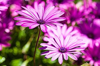 《喋血复仇》最新更新补丁 修复敌人出生问题