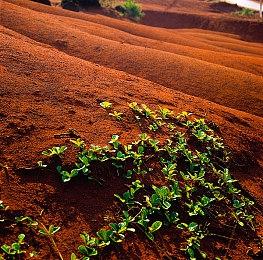 传闻：雪崩微软合作项目《走私》被推迟1年发售