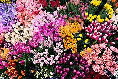 《浪漫沙加 吟游诗人之歌重制版》中文预告 3月30日发售